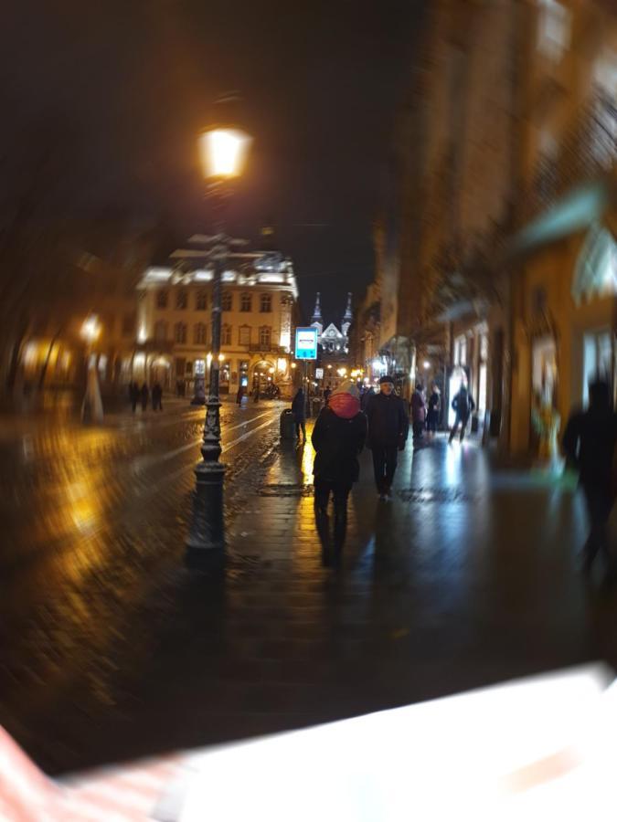 Апартаменти У Шевальє. Lviv Dış mekan fotoğraf